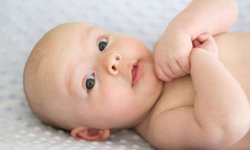 Эффективные способы применения лаврового листа от потницы у новорожденного